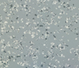Terrazzo style tiles Aluminium Grey